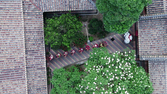 微信图片_20200710104447